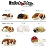 Perfect Petzzzz Animais De Pelucia Que Respiram De Verdade